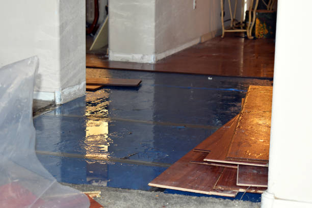Professional Water Damage Restoration technician working in Lithia, FL